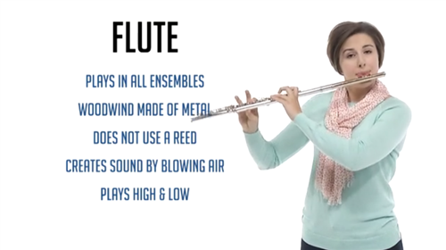 flute image 